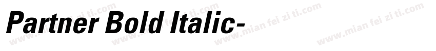 Partner Bold Italic字体转换